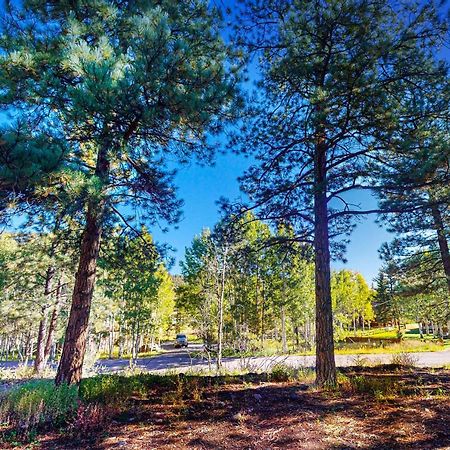 Вілла Pinon Pines Саут-Форк Екстер'єр фото